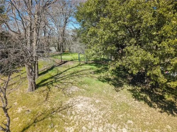 a view of backyard with tree