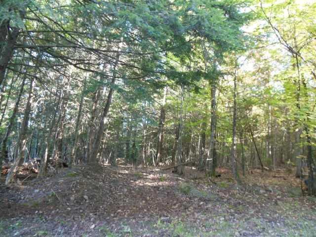 379 Downing Road Exeter, ME 04435 - Photo 26 of 29 Land.