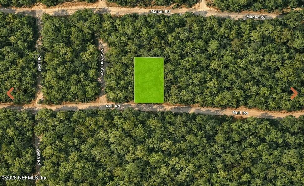 0 Nell Road Interlachen, FL 32148 - Photo 3 of 10 0 Nell Rd(3)