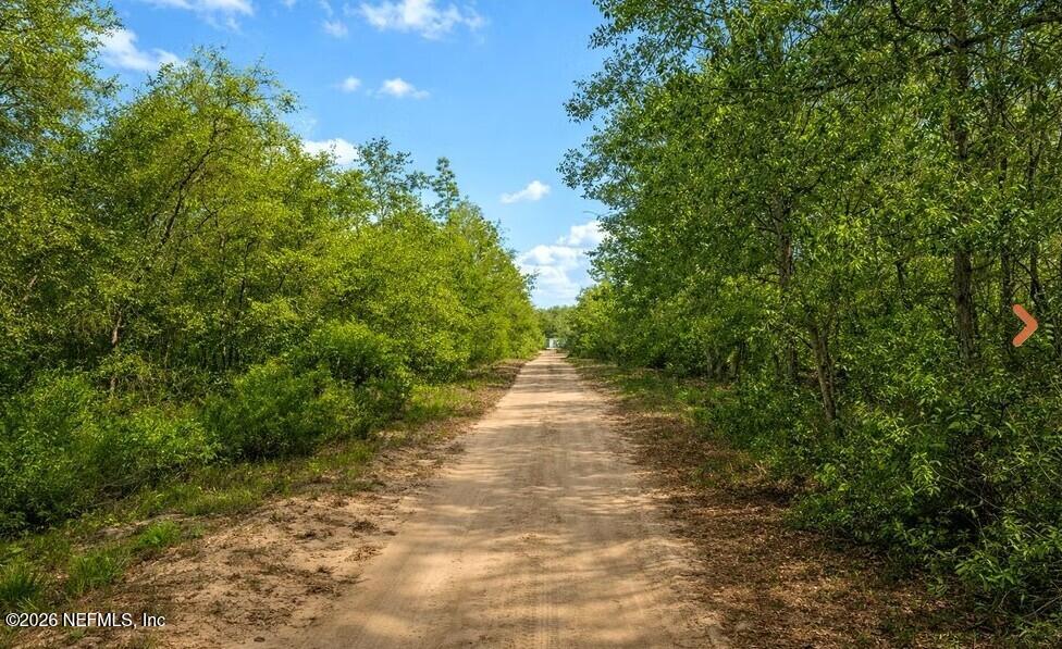 0 Nell Road Interlachen, FL 32148 - Photo 4 of 10 0 Nell Rd(4)