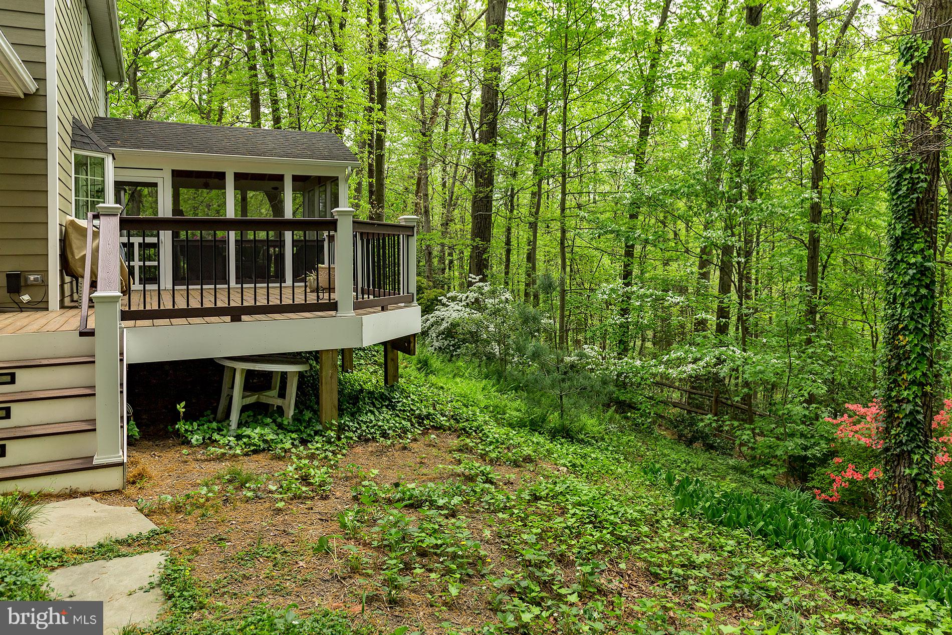 1954 Barton Hill Road Reston, VA 20191 - Photo 40 of 48