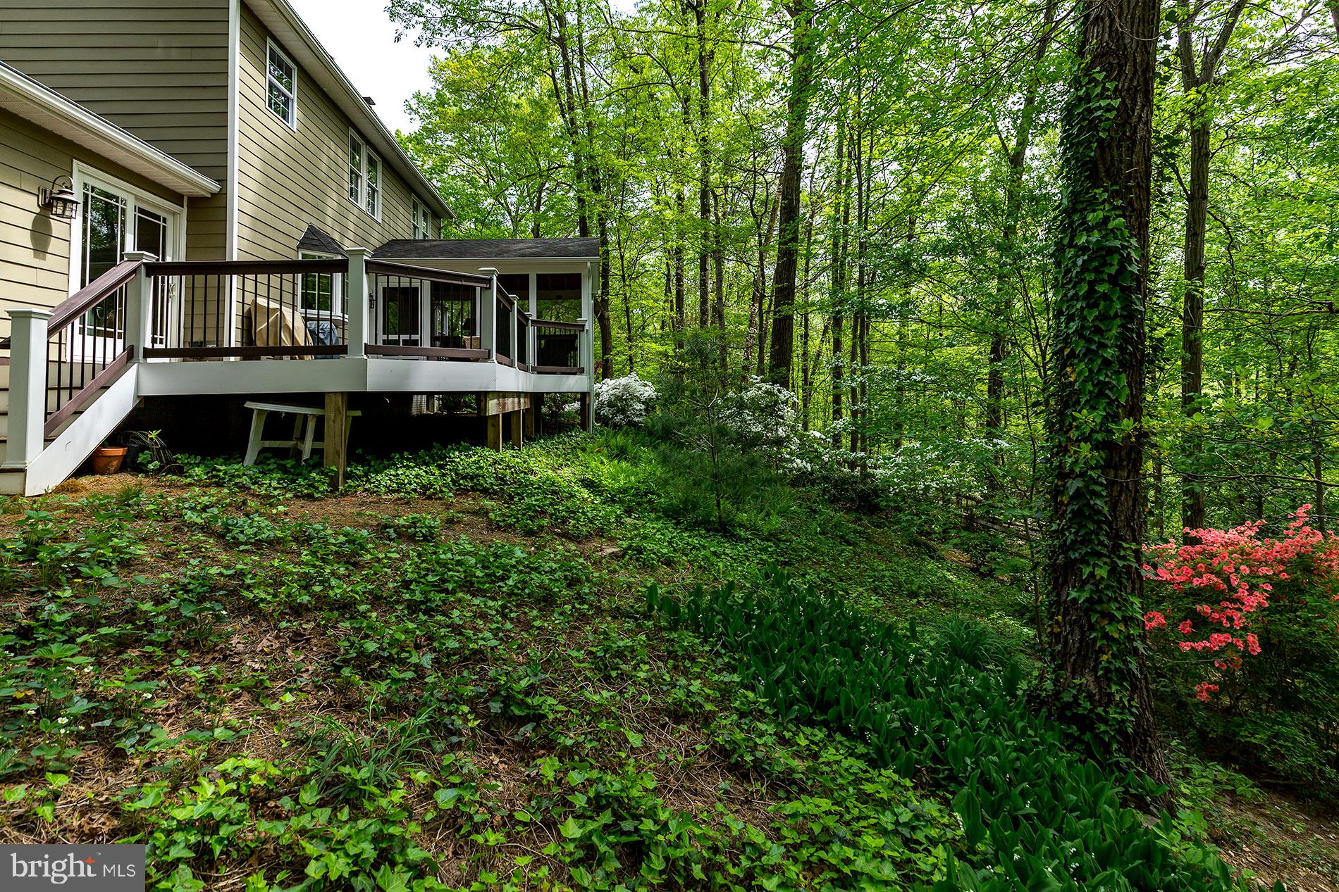 1954 Barton Hill Road Reston, VA 20191 - Photo 41 of 48