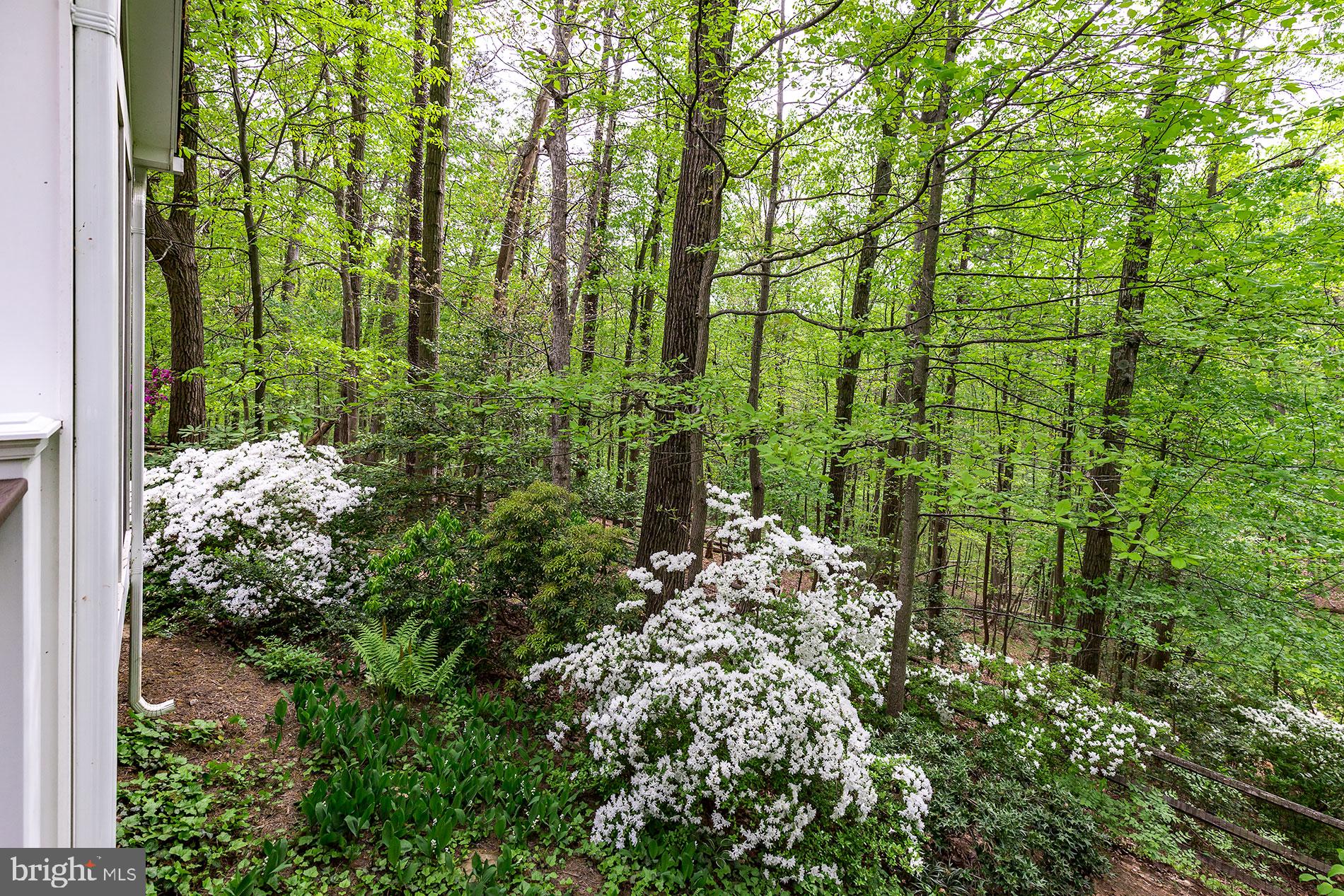 1954 Barton Hill Road Reston, VA 20191 - Photo 42 of 48