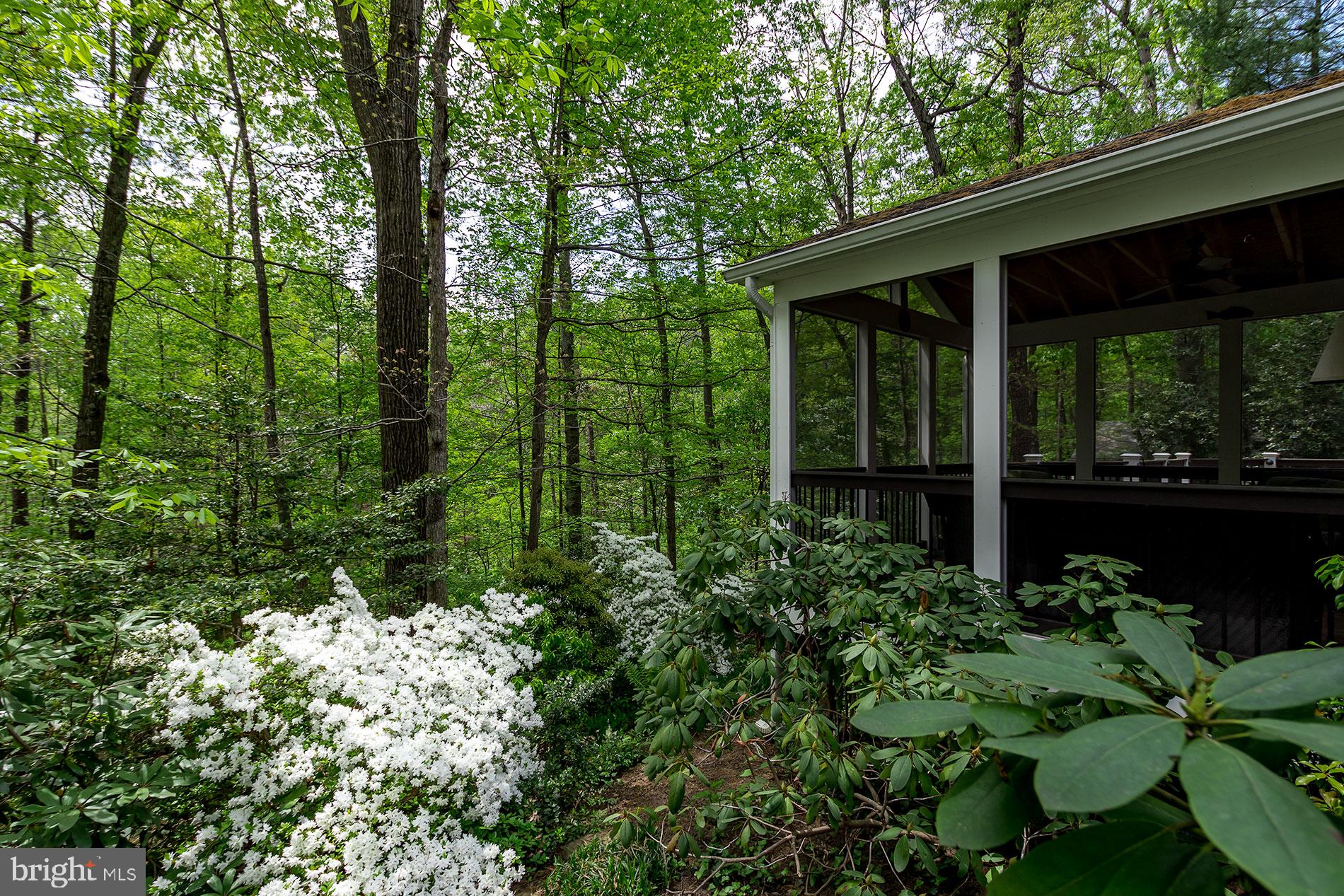 1954 Barton Hill Road Reston, VA 20191 - Photo 43 of 48