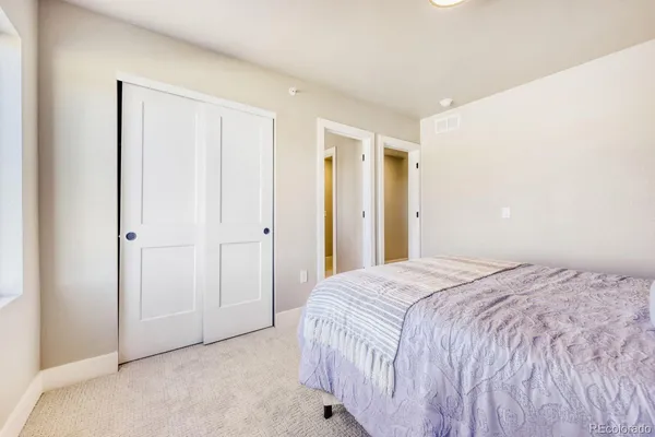 a bedroom with a bed and a closet