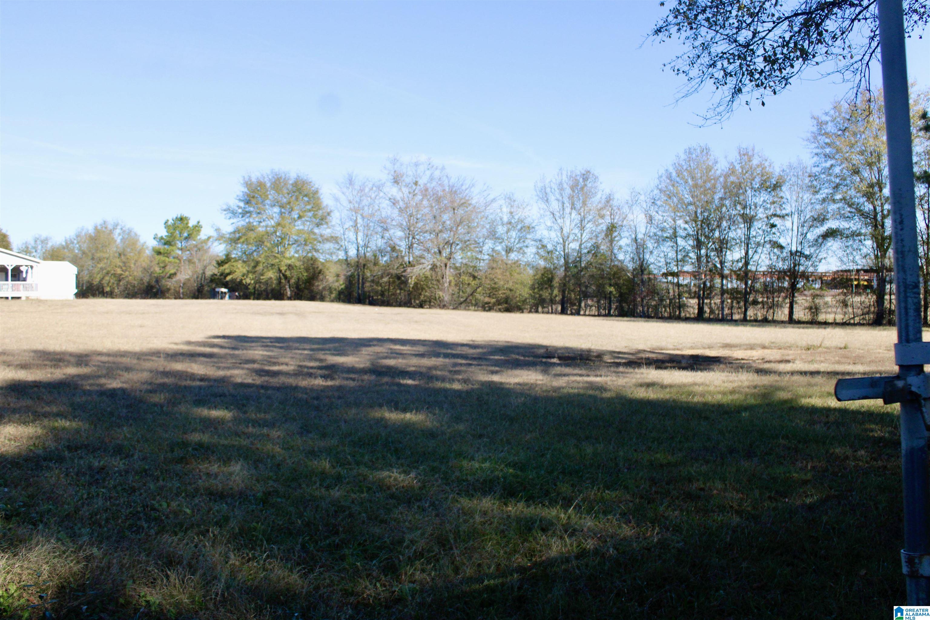 133 Thompson Drive Vincent, AL 35178 - Photo 20 of 23