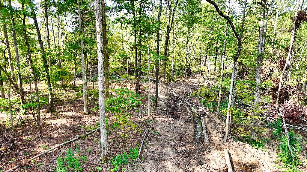 0 Baker Hollow Road Nunnelly, TN 37137 - Photo 8 of 15 Gallery Image 8