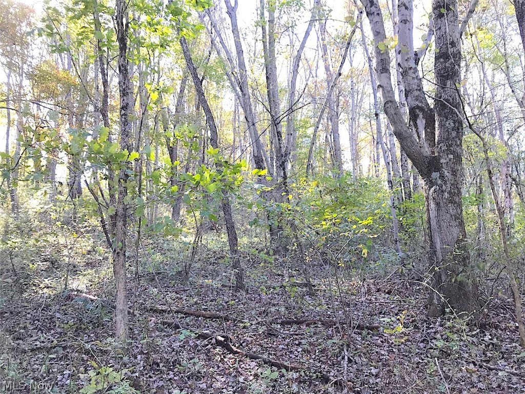 Timber Rock Road Lore City, OH 43755 - Photo 24 of 35