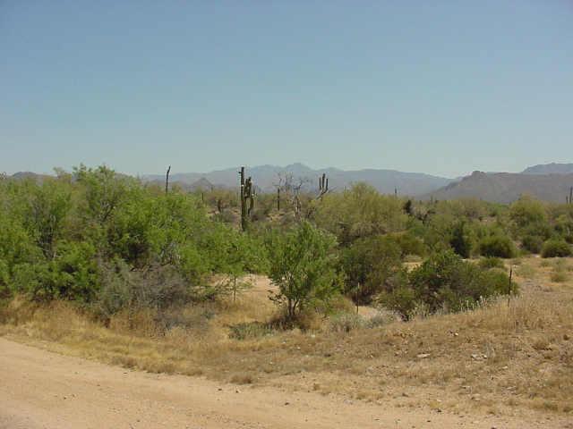 30610 North 176th Street Rio Verde, AZ 85263 - Photo 1 of 1 Primary Photo