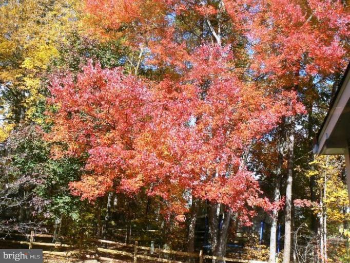 8652 Morning Star Court Springfield, VA 22153 - Photo 19 of 19 Wooded View / Acreage