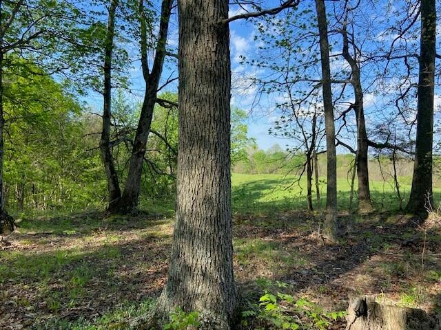 2451 Sardis Road Mount Olivet, KY 41064 - Photo 35 of 42