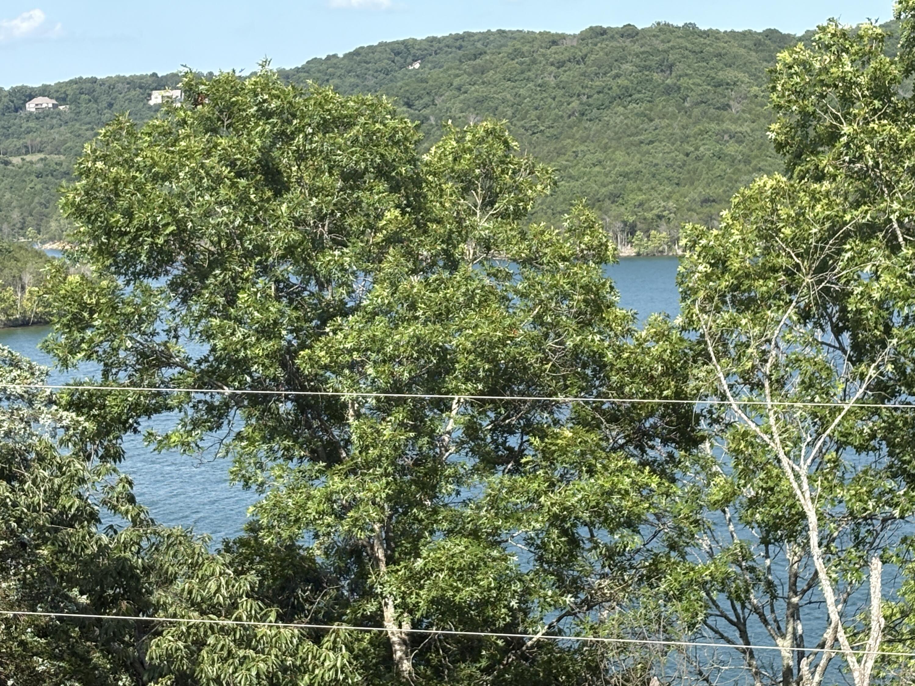 224 Scrolling Road Reeds Spring, MO 65737 - Photo 3 of 13 IMG_1982