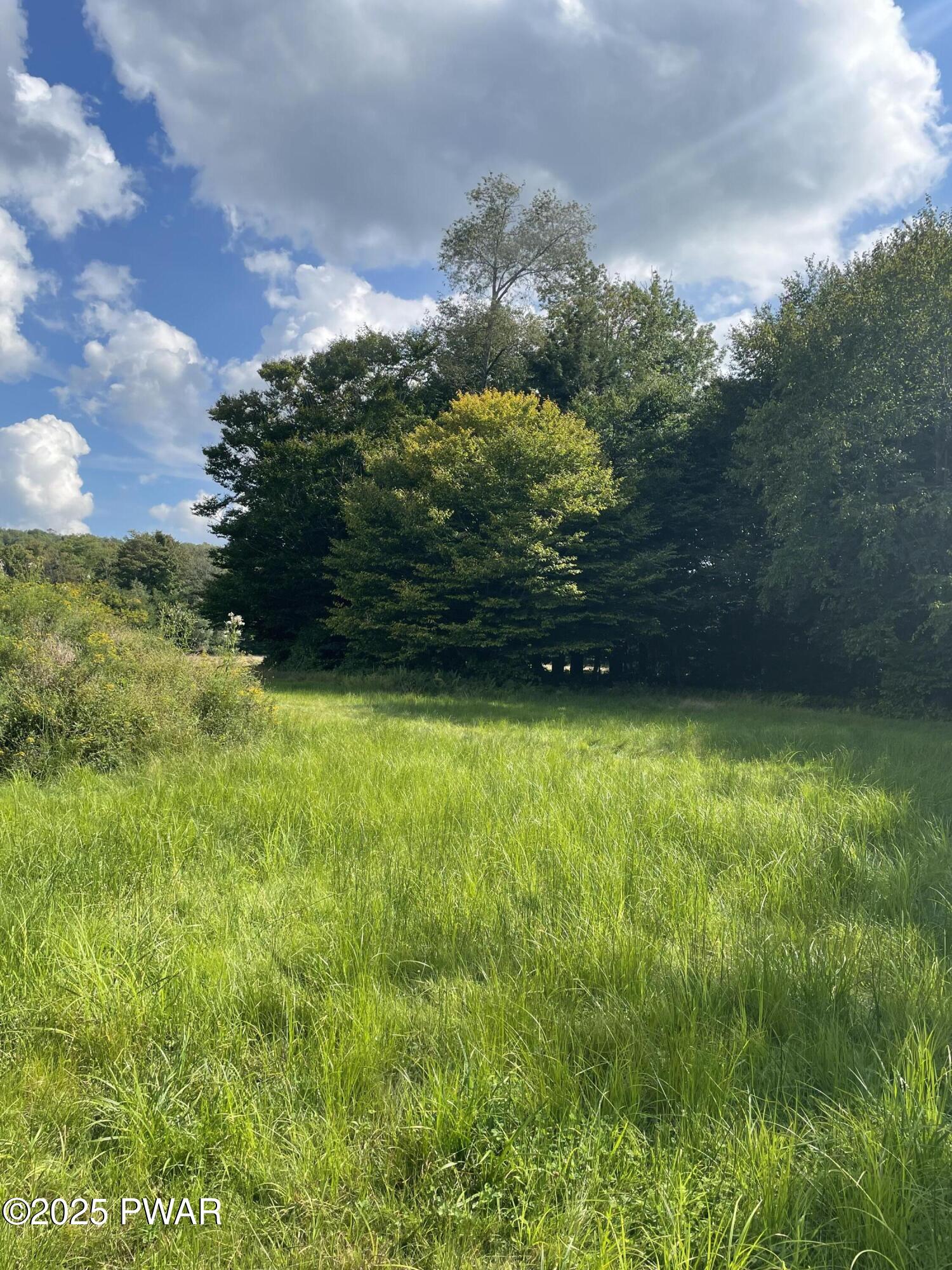 65 Mane Street Equinunk, PA 18417 - Photo 13 of 18