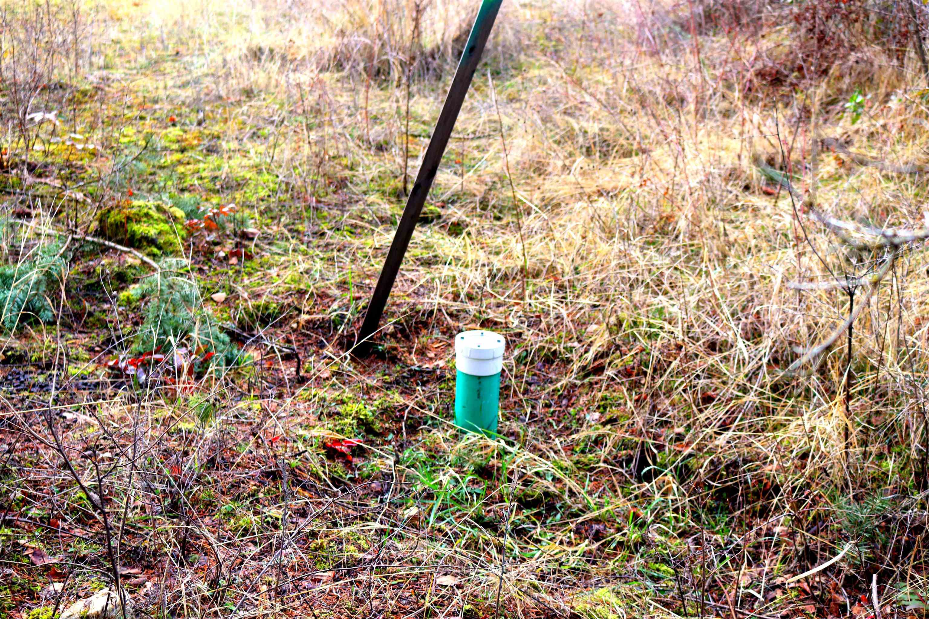 4536 Haney Road Loon Lake, WA 99148 - Photo 14 of 28