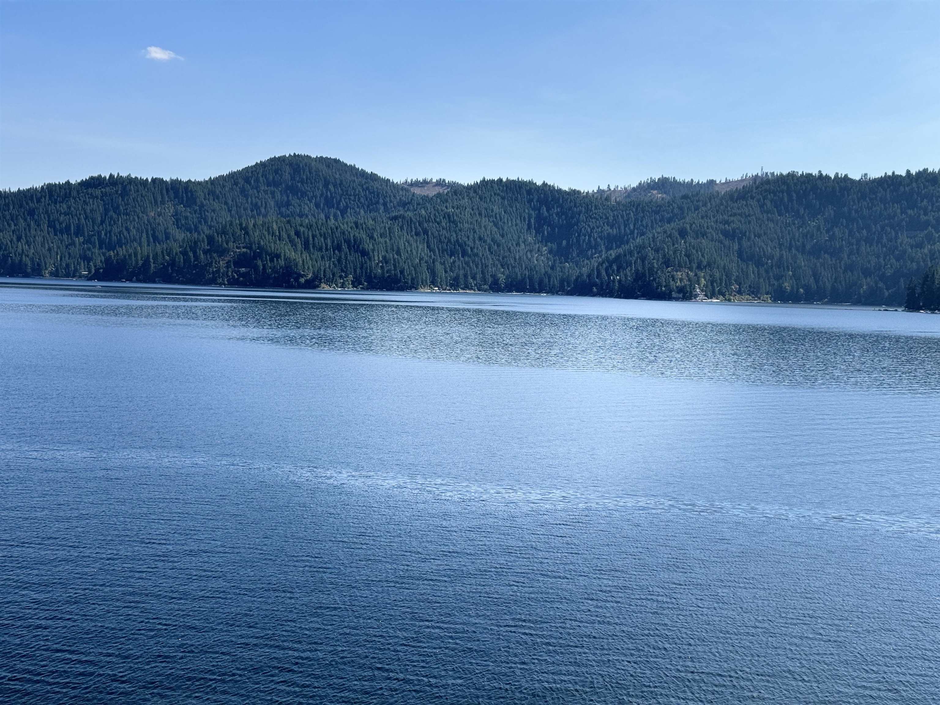 4536 Haney Road Loon Lake, WA 99148 - Photo 24 of 28