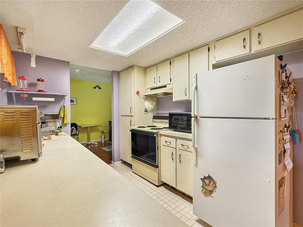 6904 Williams Road Seffner, FL 33584 - Photo 8 of 19