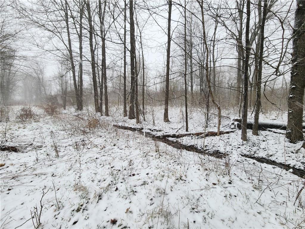 0 Irish Ridge Road Stoneboro, PA 16153 - Photo 12 of 12
