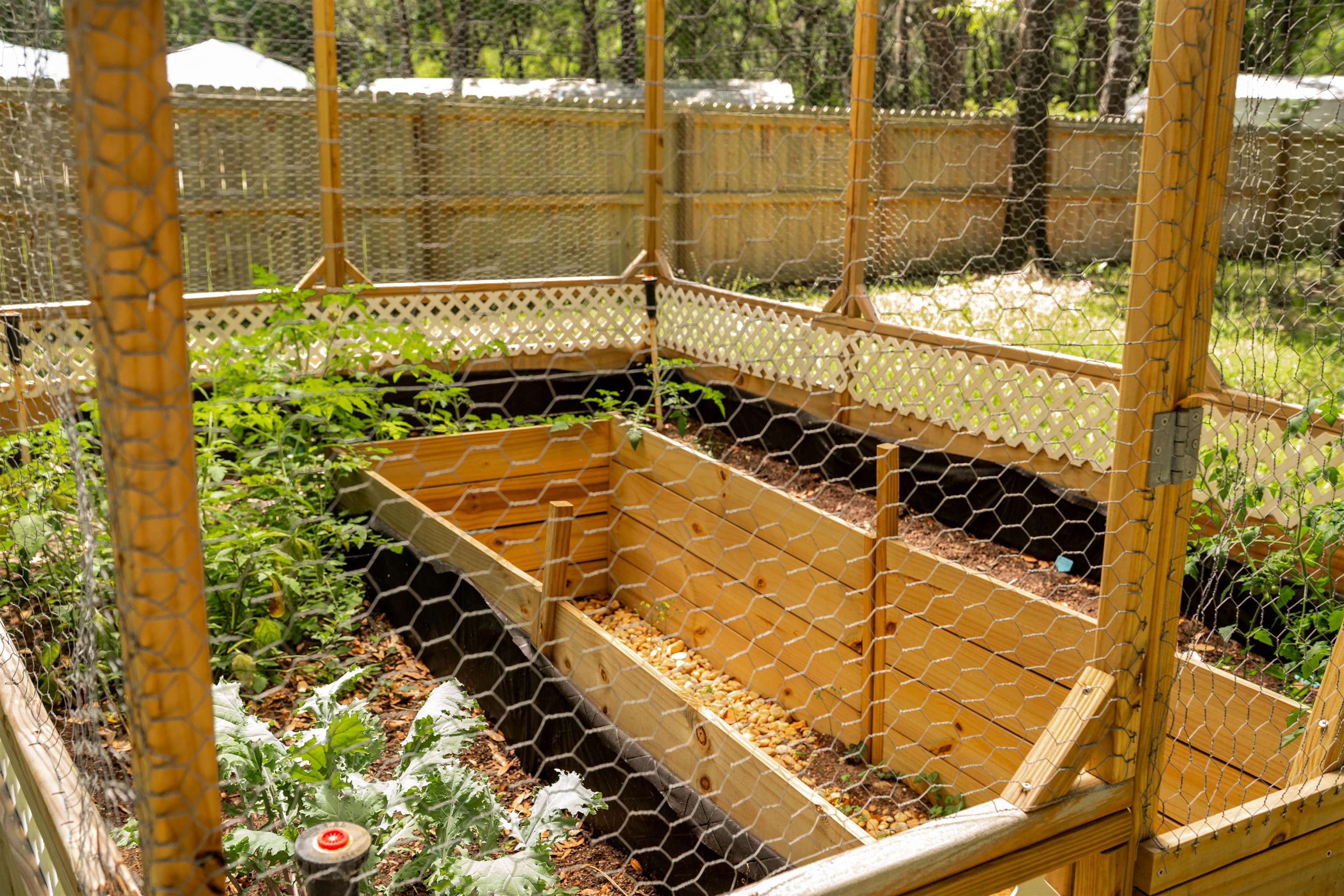 2950 Kings Road St. Augustine, FL 32086 - Photo 11 of 42 a view of a backyard