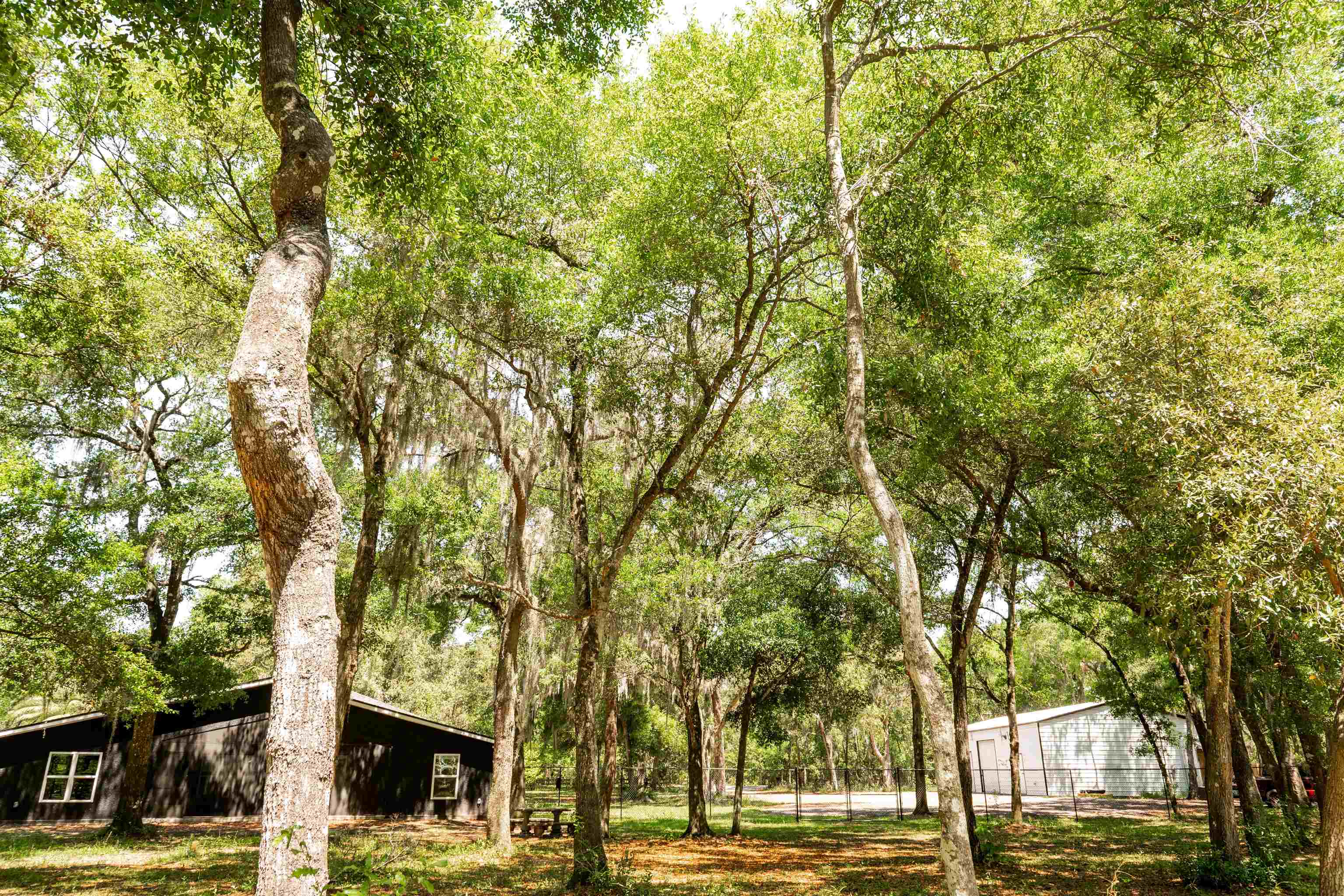 2950 Kings Road St. Augustine, FL 32086 - Photo 15 of 42