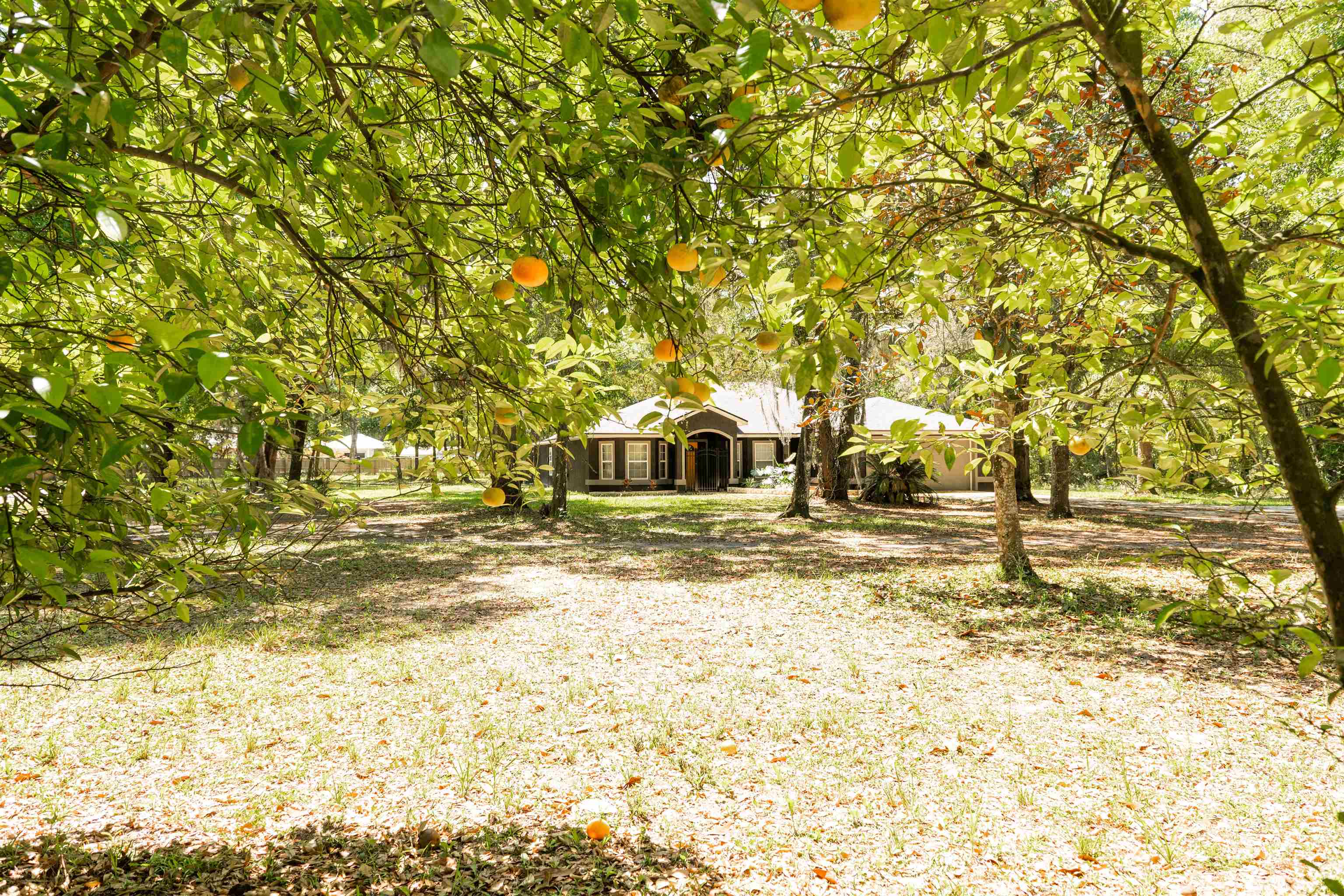 2950 Kings Road St. Augustine, FL 32086 - Photo 2 of 42 a house view with a outdoor space
