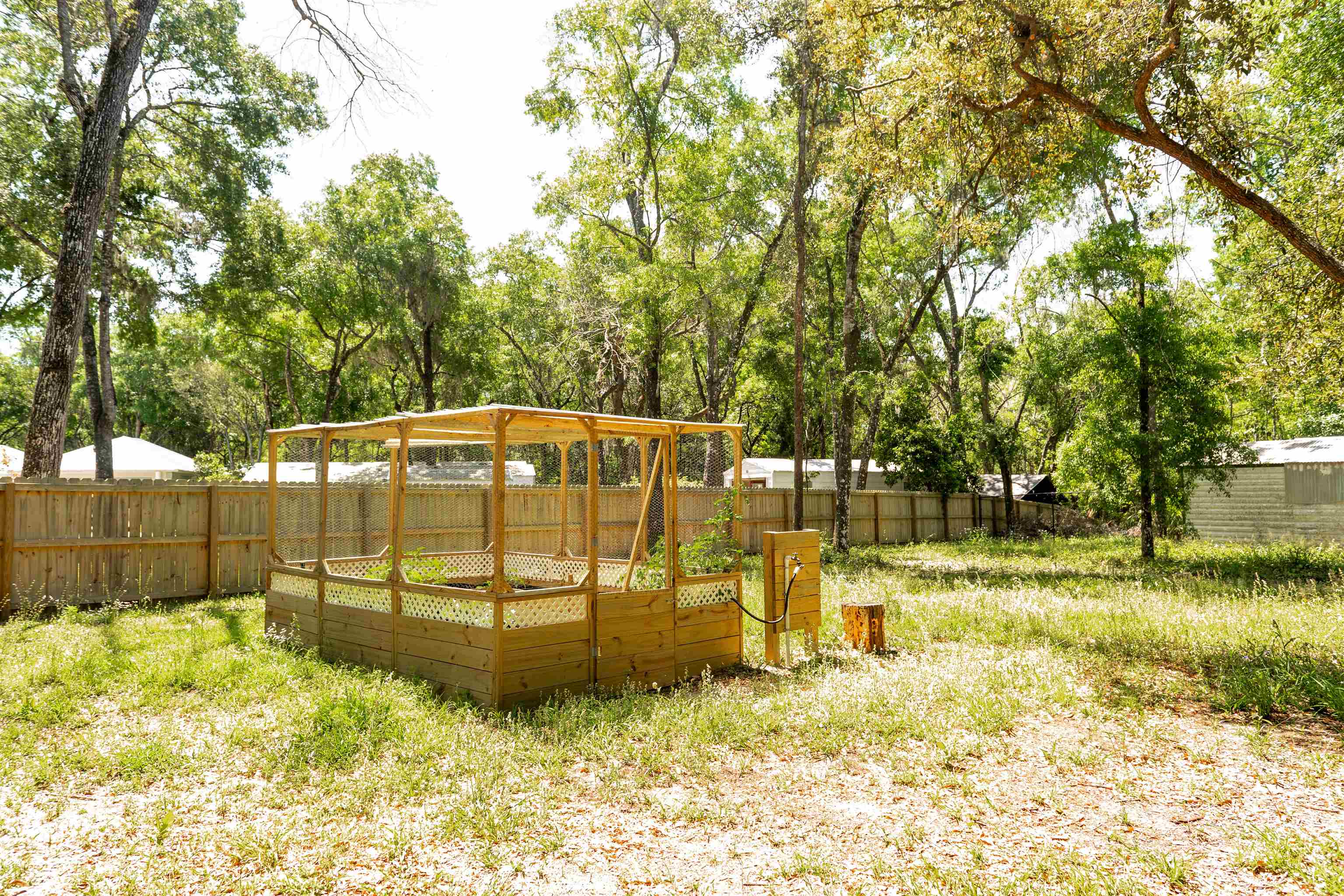 2950 Kings Road St. Augustine, FL 32086 - Photo 10 of 42 a view of backyard with swimming pool and trees
