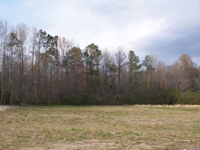 4891 Rains Crossroads Road Kenly, NC 27542 - Photo 2 of 2 GORGEOUS PROPERTY