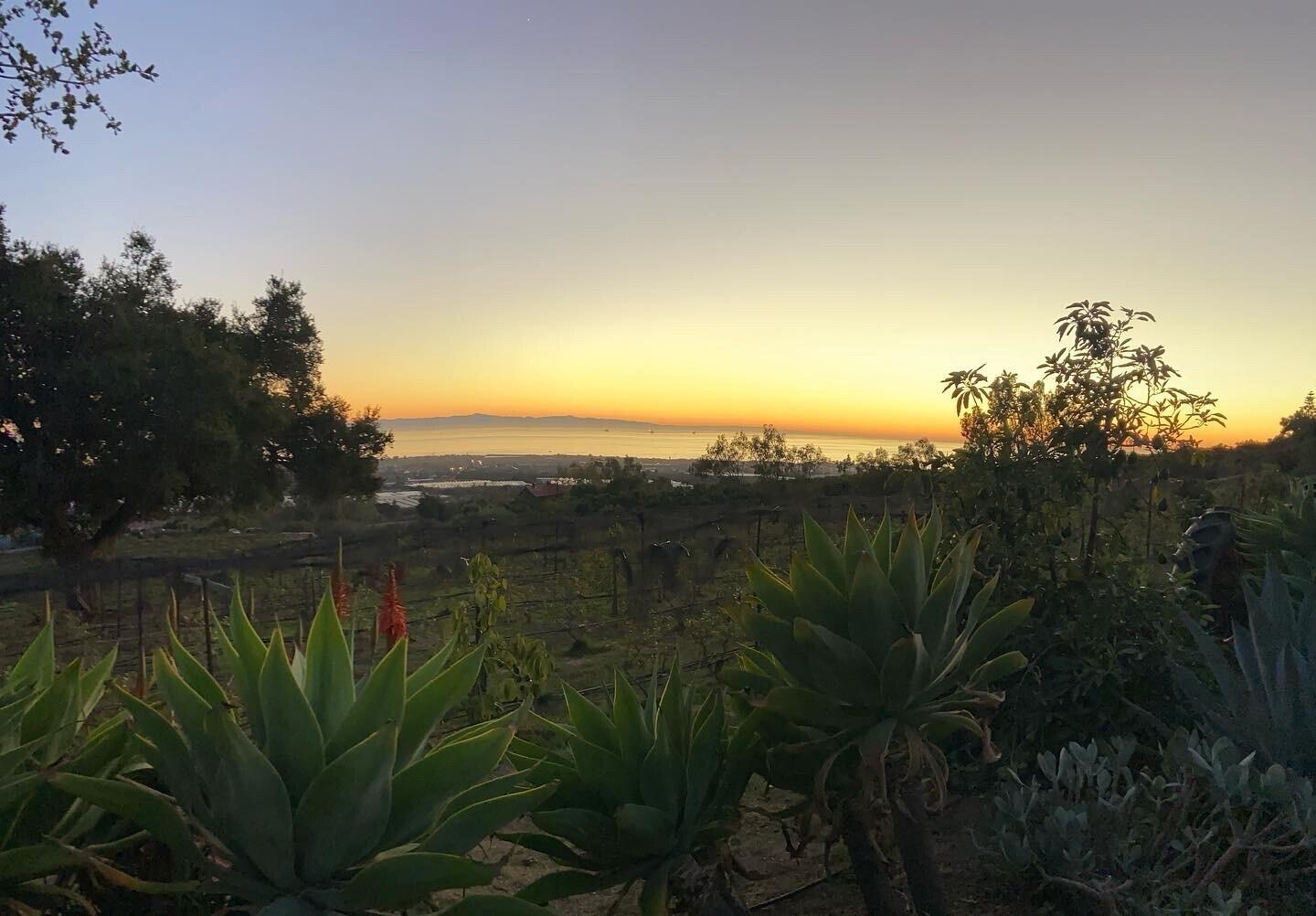 4488 Foothill Road Carpinteria, CA 93013 - Photo 13 of 24 4488 Sunset Shot