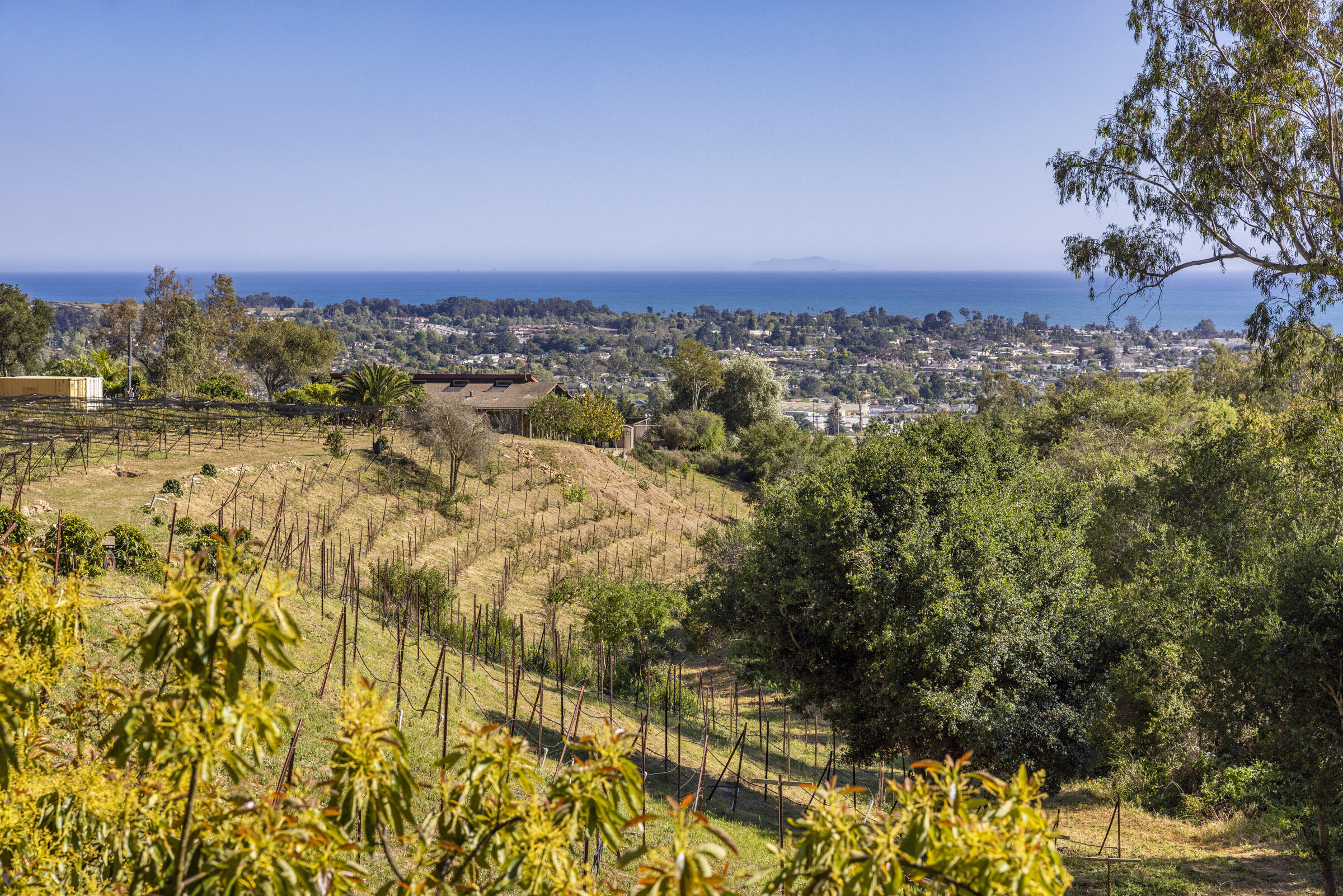 4488 Foothill Road Carpinteria, CA 93013 - Photo 5 of 24 4488 Foothill_0019