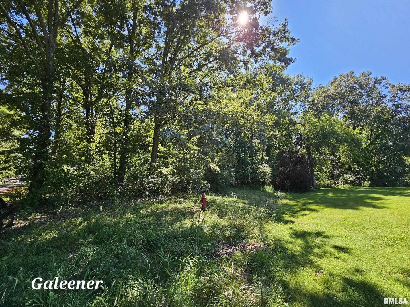 0 Galeener Street Vienna, IL 62995 - Photo 5 of 7 a view of outdoor space with deck and green space