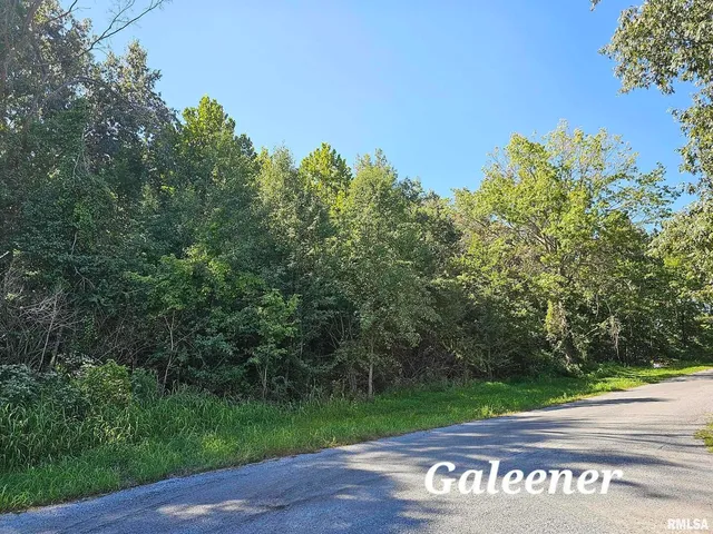 $634,620 | 0 Galeener Street, Vienna, IL 62995