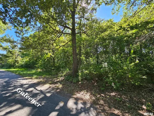 a view of a street with a tree