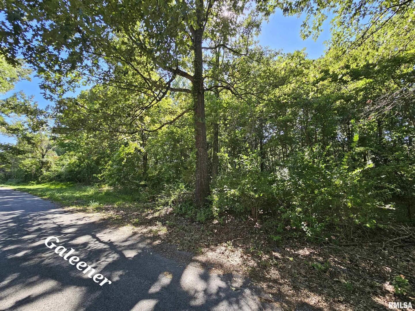 0 Galeener Street Vienna, IL 62995 - Photo 7 of 7 a view of a street with a tree