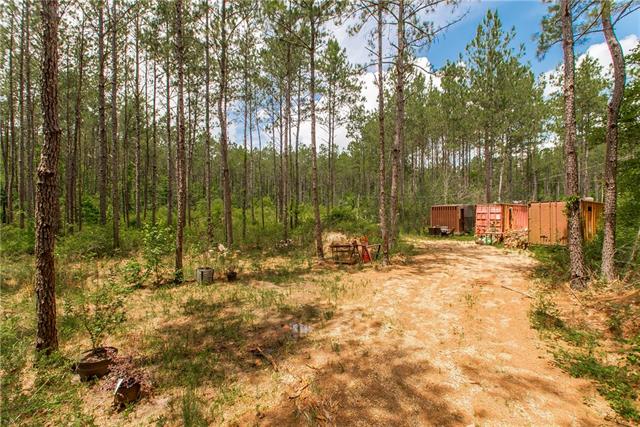 76317 Bob Levy Road Abita Springs, LA 70420 - Photo 2 of 13