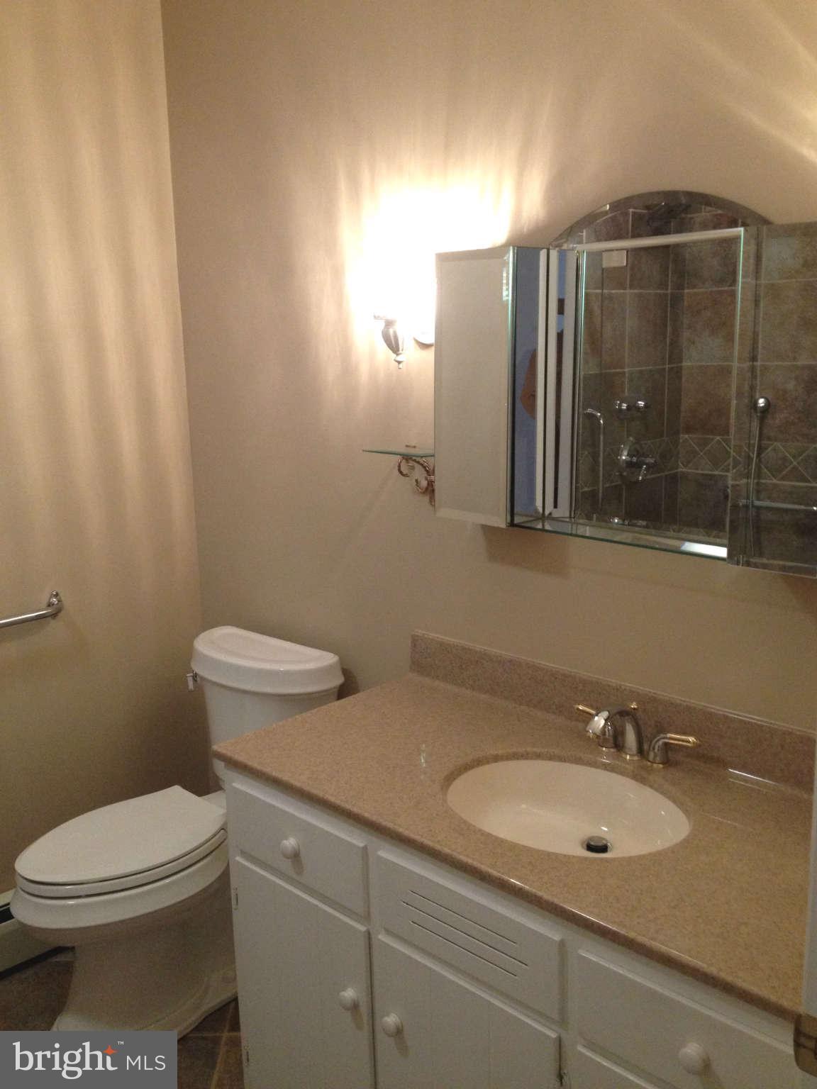 19636 Spring Creek Road Hagerstown, MD 21742 - Photo 12 of 19 Bath