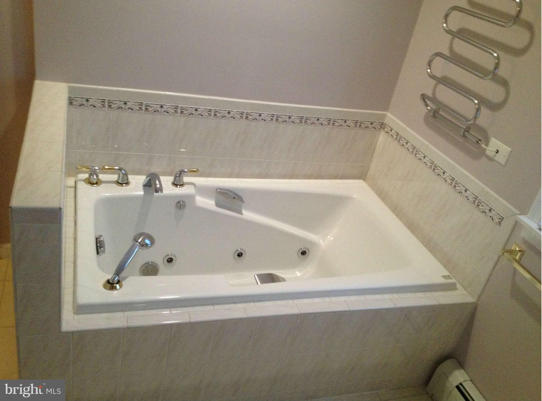 19636 Spring Creek Road Hagerstown, MD 21742 - Photo 8 of 19 Bath (Master)