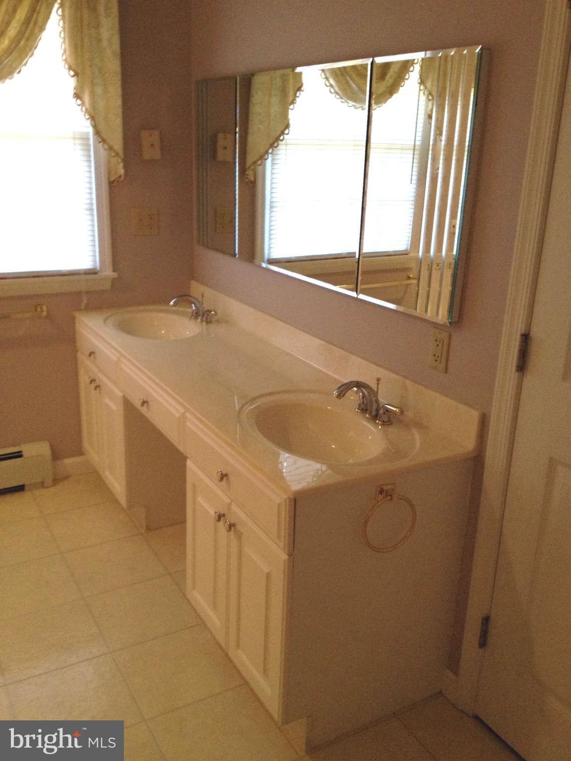 19636 Spring Creek Road Hagerstown, MD 21742 - Photo 10 of 19 Bath (Master)