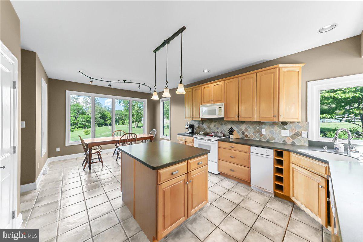 337 Little Elk Creek Road Elkton, MD 21921 - Photo 10 of 52