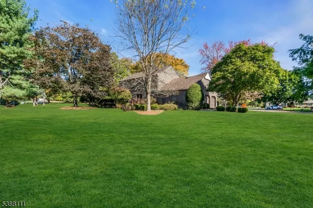 a view of garden with trees