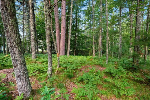 $29,900 | White Pine Lane, Unit 6, Pembine, WI 54156