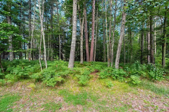 $29,900 | White Pine Lane, Unit 6, Pembine, WI 54156