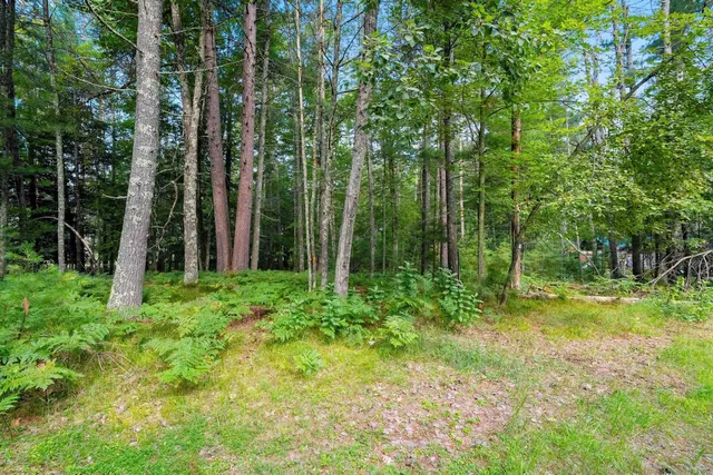 $29,900 | White Pine Lane, Unit 6, Pembine, WI 54156