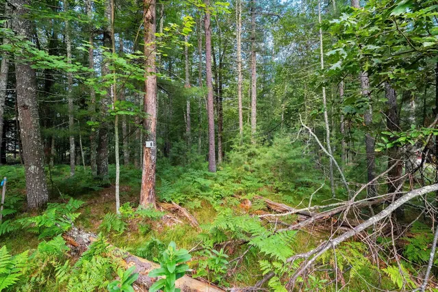 $29,900 | White Pine Lane, Unit 6, Pembine, WI 54156