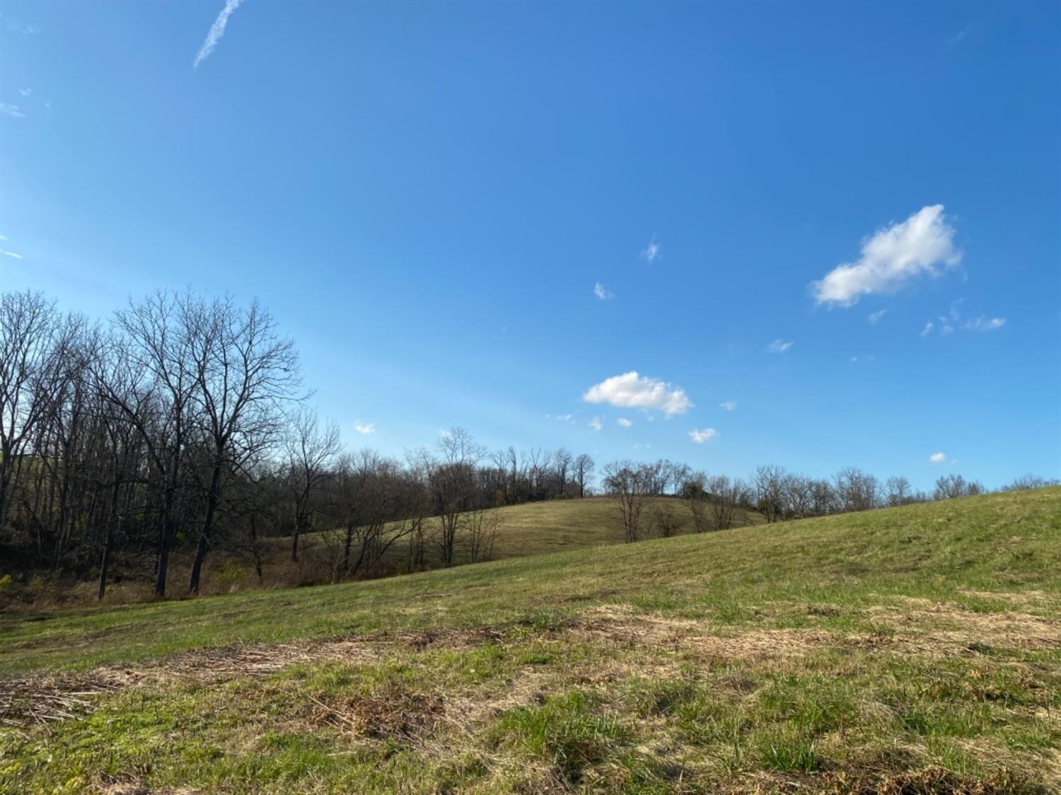 591 Rockridge Road Paris, KY 40361 - Photo 42 of 61 Photo 43