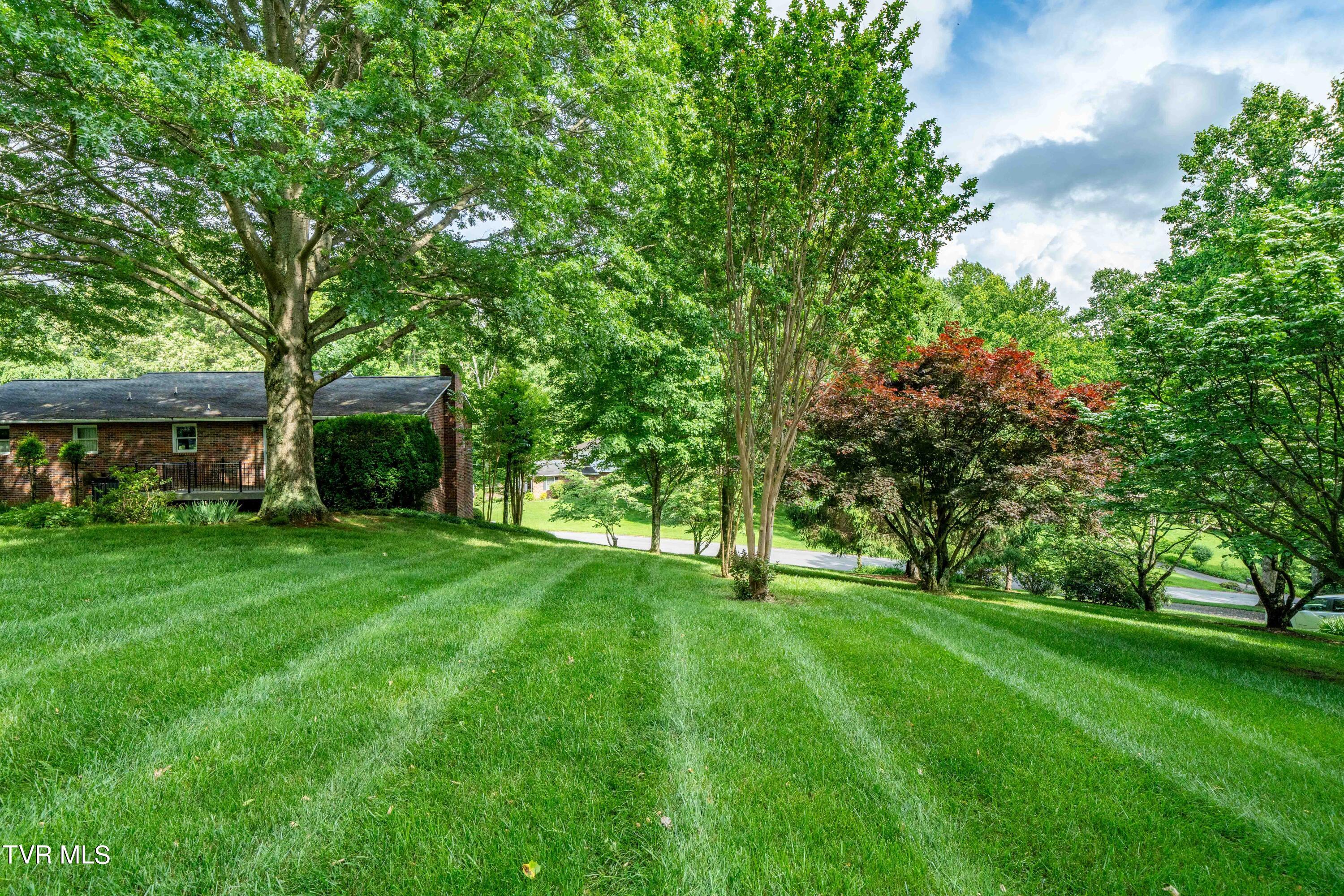 150 Heather Lane Johnson City, TN 37601 - Photo 51 of 82 150 Heather Ln (51 of 82)
