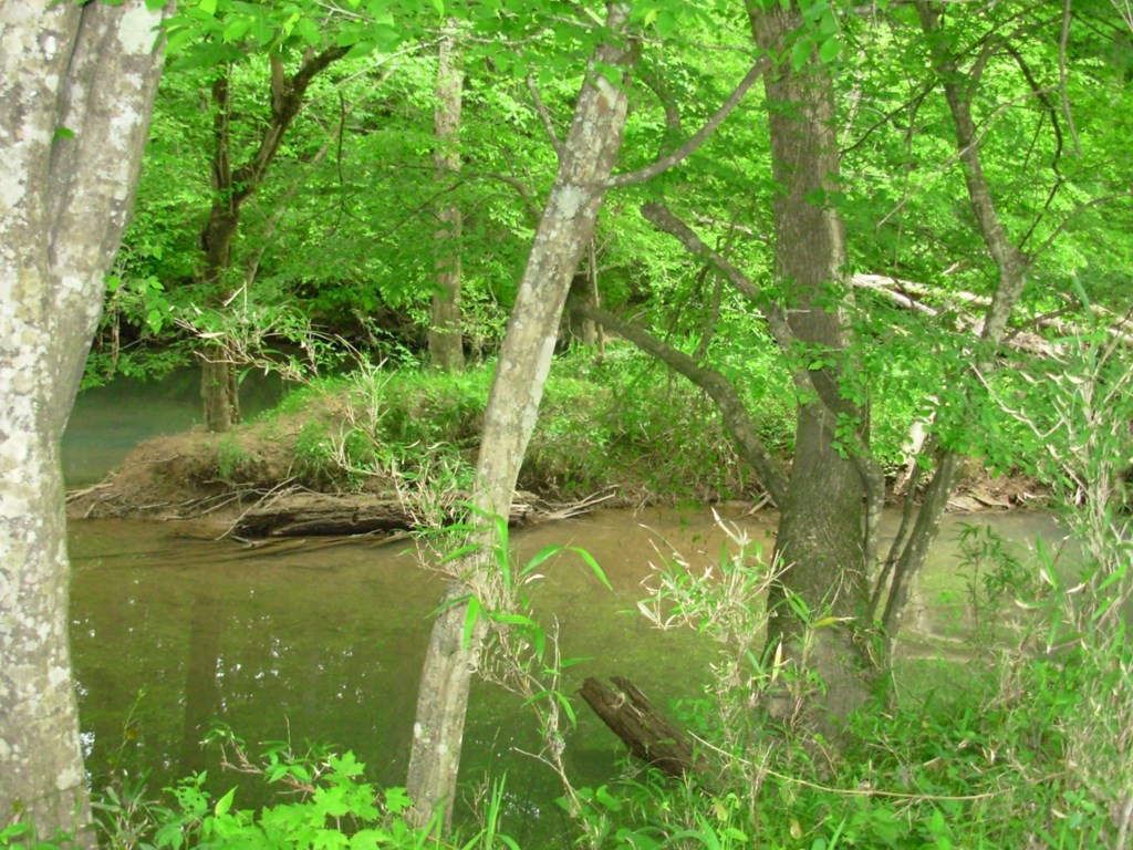 0 County Road 61 Riceville, TN 37370 - Photo 17 of 20 Gallery Image 17