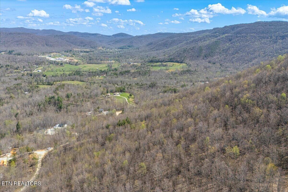 422 Crooked Branch Road Huntsville, TN 37756 - Photo 10 of 35 15-Marker A7