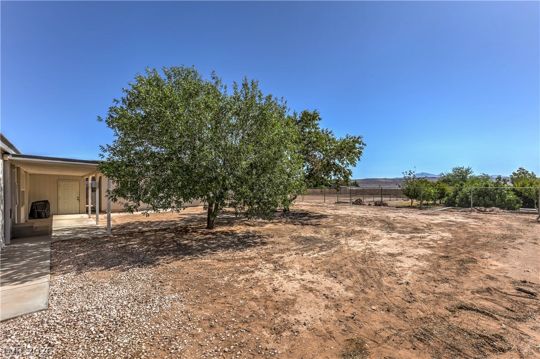 348 Tres Palomas Street Overton, NV 89040 - Photo 39 of 41 A spacious yard with mature trees and a covered patio offers ample outdoor living potential.