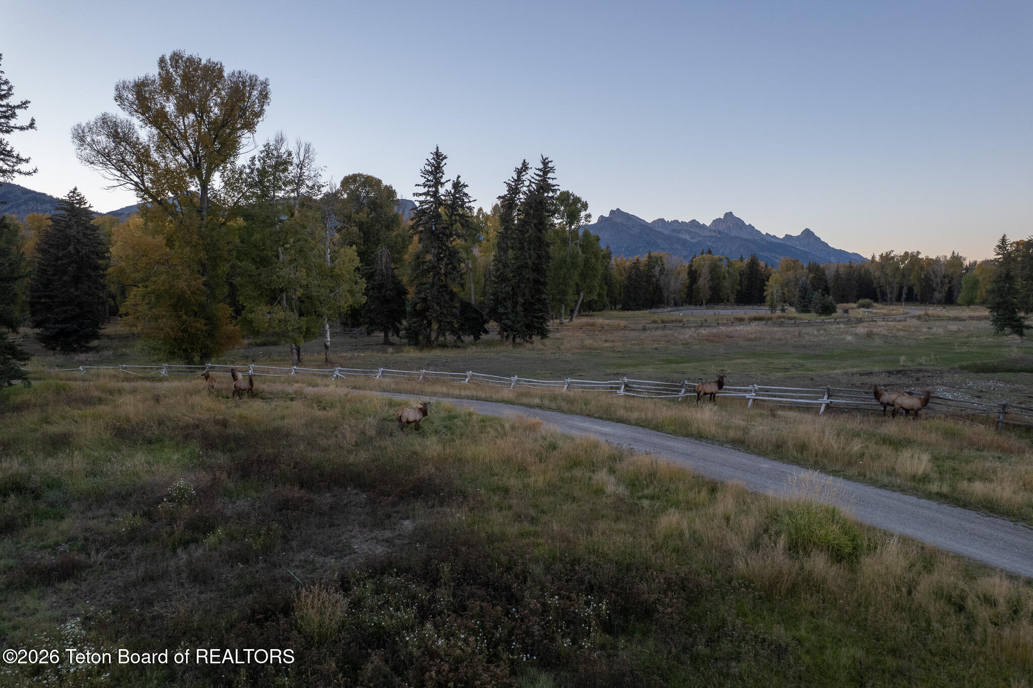 7020 North Bar B Bar River Road Jackson, WY 83001 - Photo 39 of 42 Elk