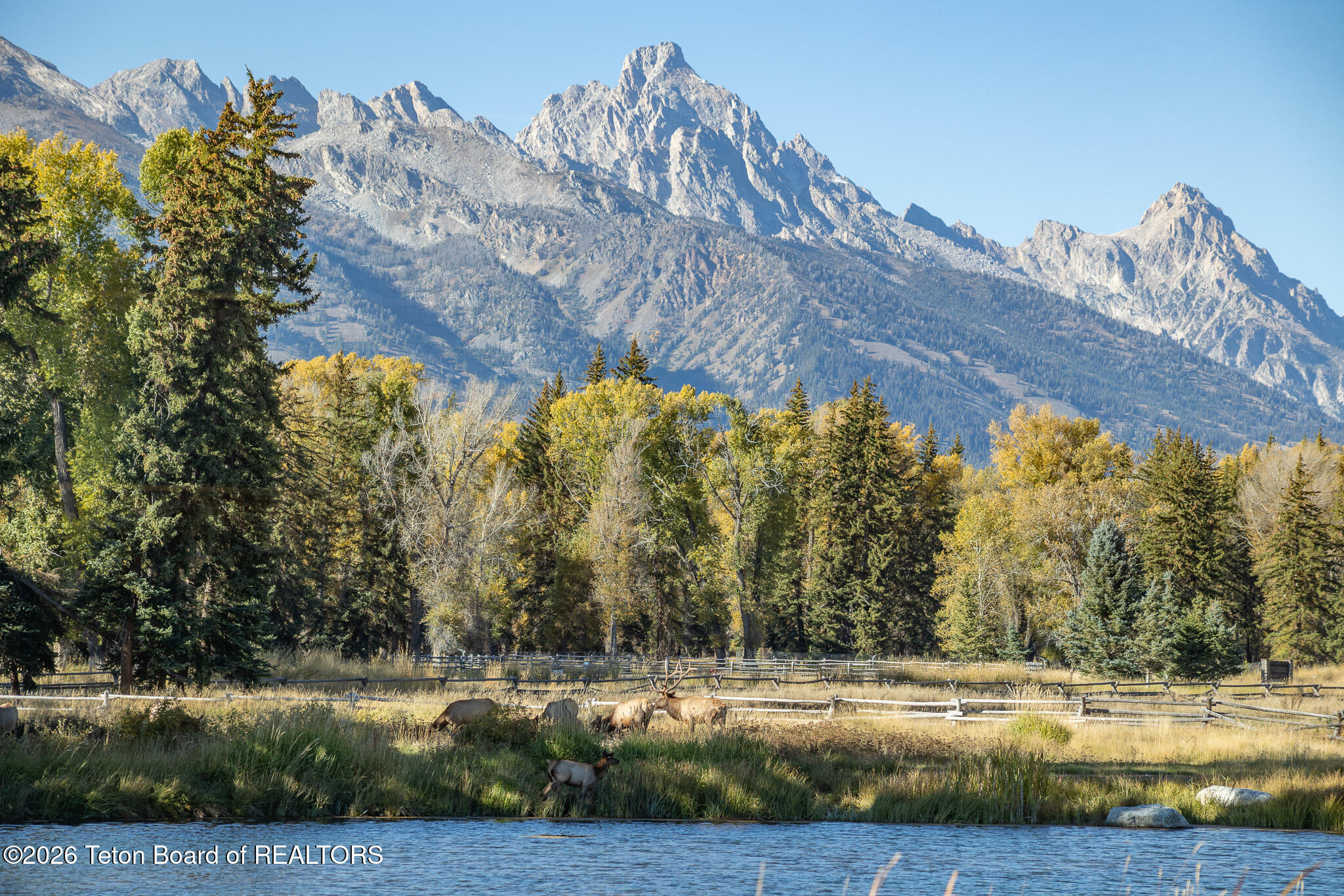 7020 North Bar B Bar River Road Jackson, WY 83001 - Photo 42 of 42 Elk