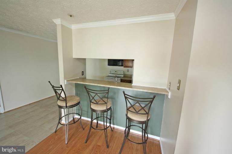 6410 Greenfield Road, Unit 1003 Elkridge, MD 21075 - Photo 2 of 23 Breakfast Bar